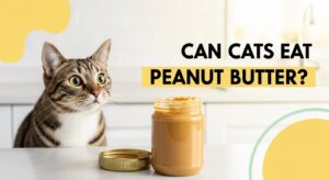 Can Cats Eat Peanut Butter? Risks & Safe Treats - Petfel