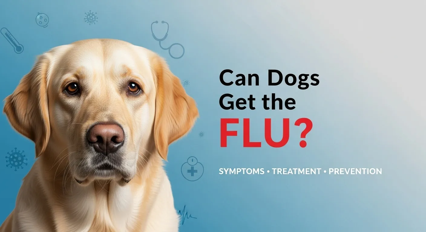 Professional blog thumbnail showing dog with flu information and medical icons