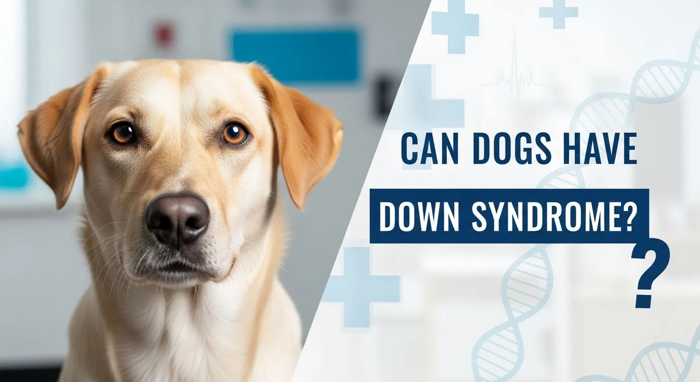 Dog with special needs and text "Can Dogs Have Down Syndrome?" for veterinary blog thumbnail