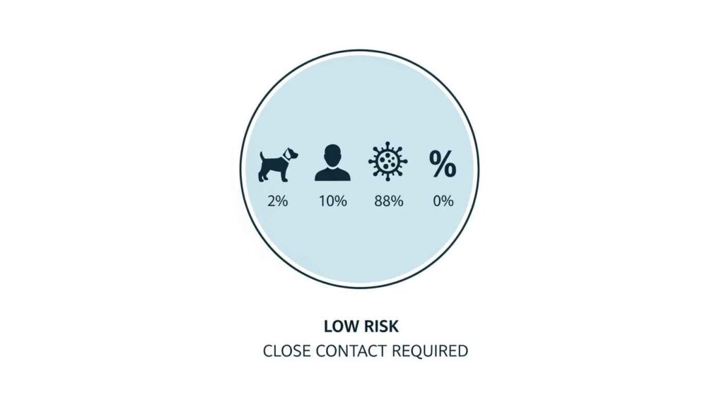 Infographic showing COVID-19 transmission facts between dogs and humans