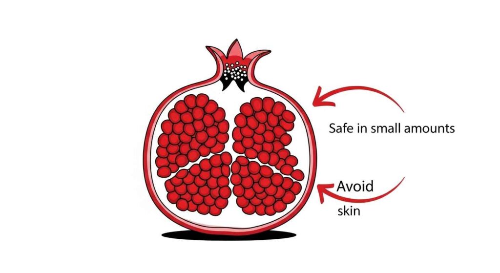 Labeled diagram of pomegranate showing seeds as safe in moderation and rind as unsafe.