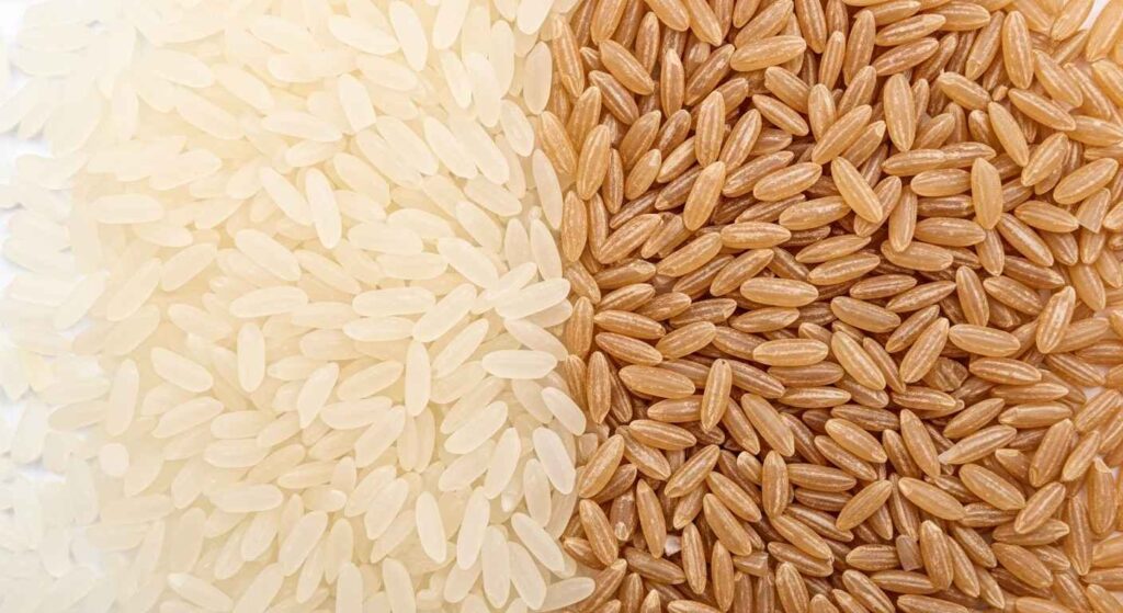 Plain white and brown rice grains.
